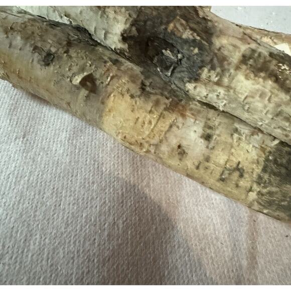 Birch Wood Log Bundle Holiday Set Of 3 (16 Inches) Ashland Floral Arranging - Picture 4 of 9